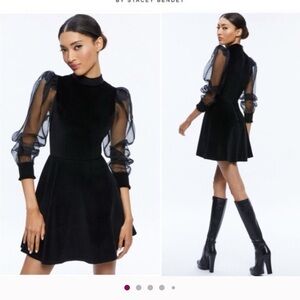 Alice and Olivia Dress